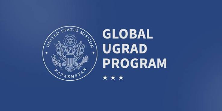 UGRAD Exchange Program project visual 3